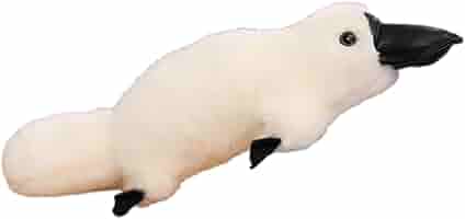 platypus です 51T+JJPwAeL._AC_SY200_QL15_.jpg